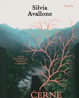 Svetová beletria Černé srdce - Silvia Avallone,Denisa Streublová