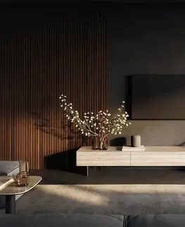Televízne stolíky DELIFE TV stolík Cuor 200 cm keramika Laminam® Travertino Bianco krémovo biela 1 výklopné dvierka 1 zásuvka podstava závesná nerezová oceľ