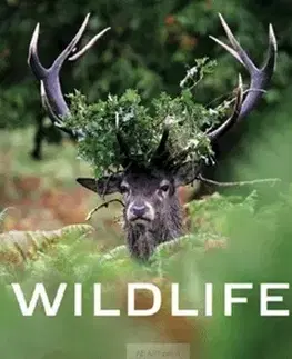 Obrazové publikácie Wildlife