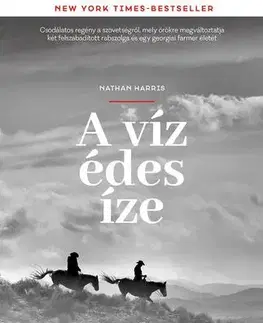 Svetová beletria A víz édes íze - Nathan Harris,Borbély Judit Bernadett
