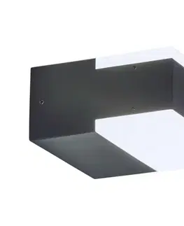 Svietidlá Rabalux 8060 - LED Vonkajšie nástenné svietidlo BONA 2xLED/4,5W 8060