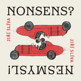 Výtvarné umenie Nonsens Nesmysl - Jiří Slíva