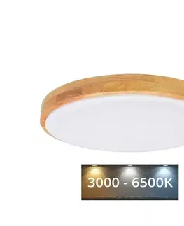 Svietidlá  WLD500-60W/LED/SD