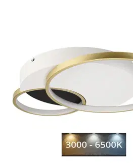 Svietidlá  Stmievateľné stropné svietidlo BENITO LED/31W/230V 3000-6500K biela/zlatá LM-LL-2.246