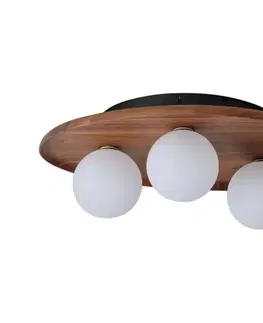 Svietidlá Osram - Stropné svietidlo ACACIA NEST 3xG9/5W/230V akácia 4058075848184
