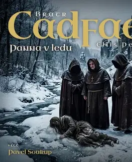 Detektívky, trilery, horory OneHotBook Panna v ledu