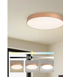 Svietidlá BRILAGI - stmievateľné LED stropné svietidlo POOL LED/60W/230V, priemer 60 cm, bronzové +DO BRI1051