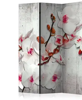 Paravány Paraván Concrete Orchid Dekorhome