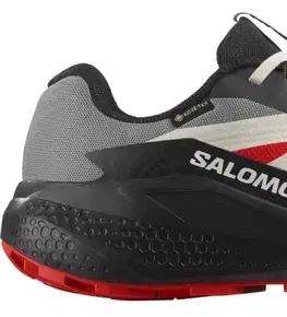 Trail Salomon Alphaglide GTX M Veľkosť: 44 EUR