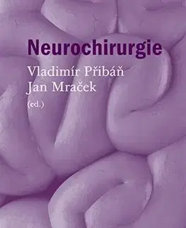Chirurgia, ortopédia, traumatológia Neurochirurgie - Jan Mraček,Vladimír Přibáň