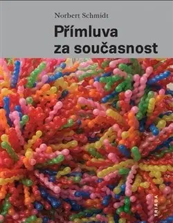 Umenie - ostatné Přímluva za současnost - Norbert Schmidt