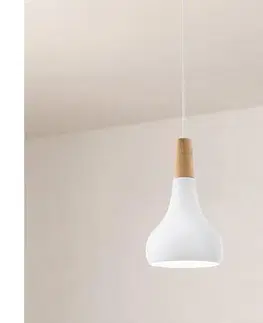 Svietidlá Eglo 901177-Luster na lanku SABINAR 1xE27/60W/230V pr.18cm biela 901177