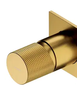 Kúpeľňové batérie OMNIRES - CONTOUR sprchová batéria podomietková zlatá kartáčovaná /GLB/ CT8045GLB