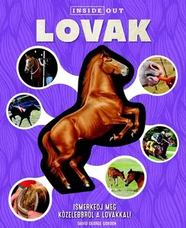 Príroda Lovak - Ismerkedj meg közelebbről a lovakkal!
