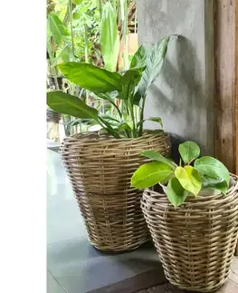 Záhrada Košík Alex Round Small Rattan 29x30