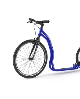 Kolobežky Kolobežka Yedoo Trexx 2020 blue