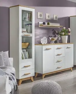 Vitríny Dolmar Vitrína SWAN SV4