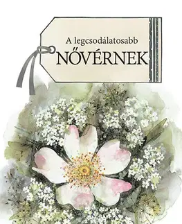 Beletria A legcsodálatosabb nővérnek - Helen Exley
