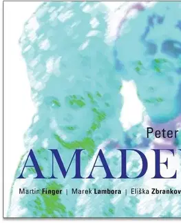 Svetová beletria Radioservis Amadeus (CZ) - audiokniha