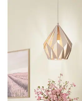 Svietidlá EGLO 49024 - Luster na lanku CARLTON-P 1xE27/60W/230V 49024