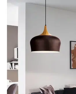 Svietidlá Eglo 95385 - Luster OBREGON 1xE27/60W/230V 95385