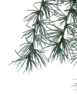 Vianočné dekorácie Vetva Christmas Tree 30x2x60cm dark green