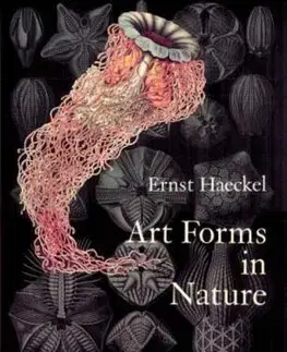 Umenie - ostatné Art Forms in Nature - Ernst Haeckel