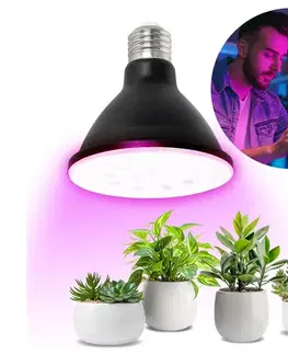 LED osvetlenie LED Žiarovka na rast rastlín VITABLOOM E27/9W/230V 1200K čierna - BRILAGI 004067
