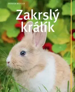 Zvieratá, chovateľstvo - ostatné Zakrslý králík - Monika Wegler