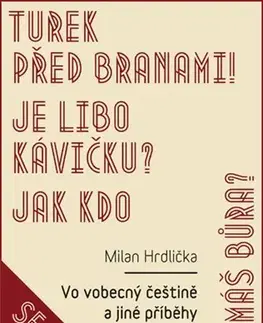 Učebnice - ostatné Vo vobecný češtině a jiné příběhy - Milan Hrdlička