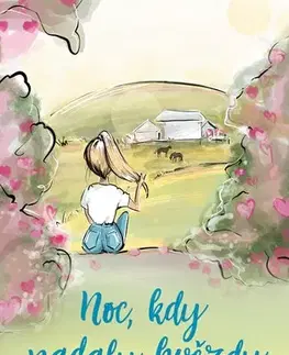 Pre dievčatá Noc, kdy padaly hvězdy - Radka Zadinová