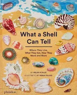 Príroda What A Shell Can Tell - Helen Scales,Sonia Pulido