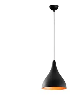 Svietidlá  Luster na lanku BERCESTE 1xE27/40W/230V 525NOR1646