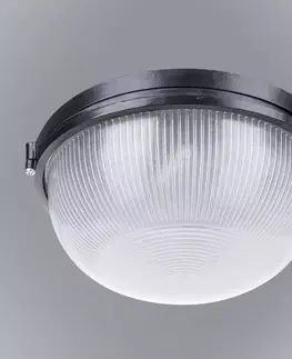 Lampy do predsiene Stropnica Victor 25 VO2132 PL1