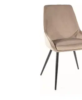 Jedálenské stoličky BOCIA VELVET čalúnená stolička, šedá
