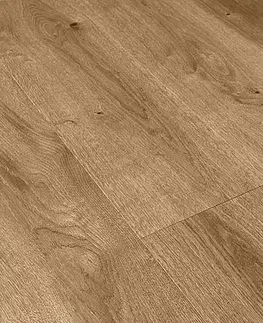 Vision BEFAG Dub basel natur B 468 - 0285