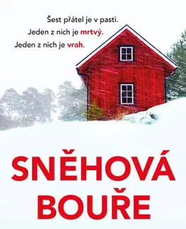 Detektívky, trilery, horory Sněhová bouře - Triona Walsh