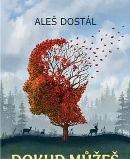Romantická beletria Dokud můžeš - Aleš Dostál