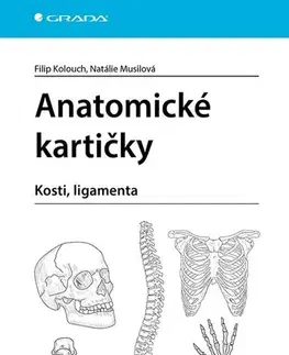 Anatómia Anatomické kartičky - Kosti, ligamenta - Filip Kolouch,Natálie Musilová