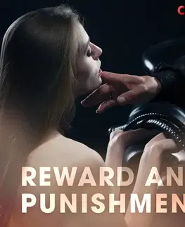 Erotická beletria Saga Egmont Reward and Punishment (EN)
