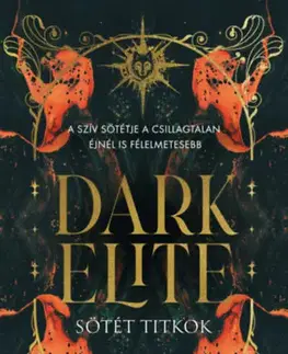Sci-fi a fantasy Dark Elite - Sötét titkok - Julia Hausburg