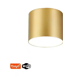 Svietidlá  NEO 07317L - LED stmievateľné stropné svietidlo RONDATE 18W/230V 11,5 cm Wi-Fi Tuya zlaté 07317L