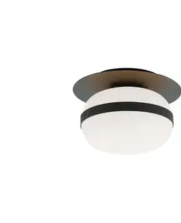 Svietidlá Viokef Lighting Stropné svietidlo PALMA 1xE27/40W/230V čierne 4245700