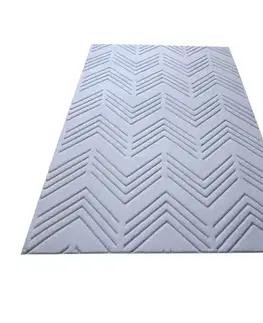 Moderné koberce Koberec Shu Velvet 1,6/2,3 MRD879 biela