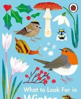 V cudzom jazyku What to Look For in Winter - Elizabeth Jenner,Natasha Durley
