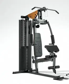 Posilňovacie veže Multifunkčná posilňovacia veža inSPORTline ProfiGym C45