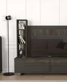 TV stolíky MURDO vysoký TV stolík, cura/antracit