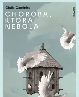 Beletria - ostatné Choroba, ktorá nebola - Giulia Caminito,Ivana Dobrakovová