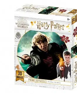 3D puzzle 3D puzzle Harry Potter: Ron Weasley 300 dielikov