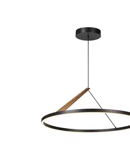 Svietidlá Rabalux 72352 - LED závesný luster na lanku RENARA LED/40W/230V 3000K 72352